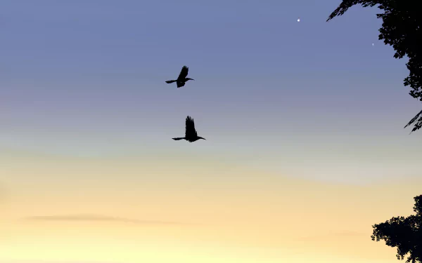 Dishonored 2 video game 5K Ultra HD PC desktop wallpaper: two silhouetted birds fly across a pastel dusk sky with dark tree silhouettes at the edges.