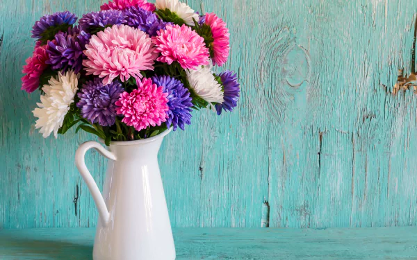 bouquet pitcher vase colorful daisy flower photography still life HD Desktop Wallpaper | Background Image
