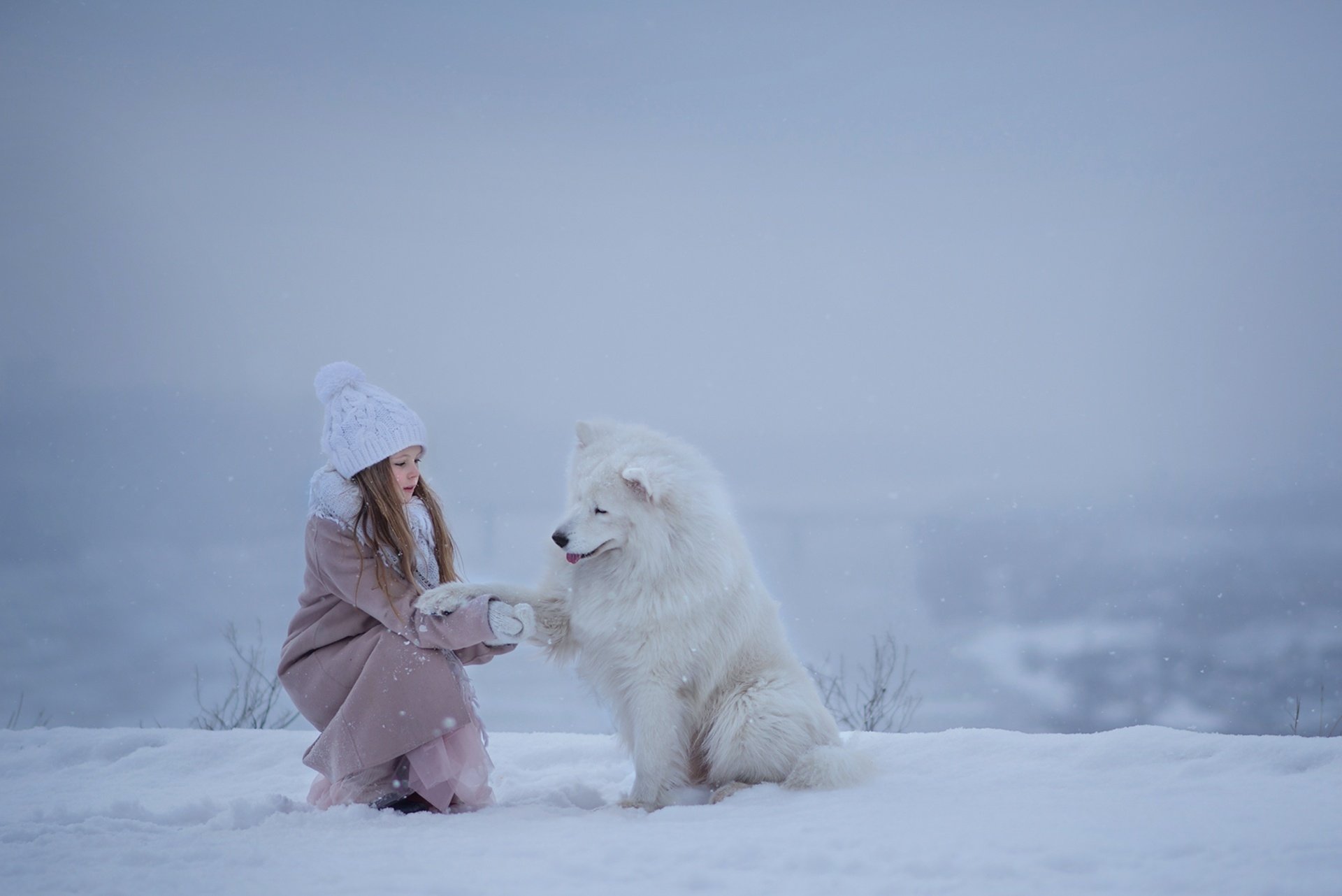 A little girl in a hat kneels in the snow, reaching out to a fluffy Samoyed dog amid a soft winter landscape with gentle depth of field.