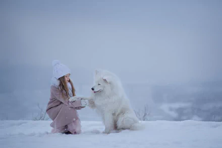 A little girl in a hat kneels in the snow, reaching out to a fluffy Samoyed dog amid a soft winter landscape with gentle depth of field.