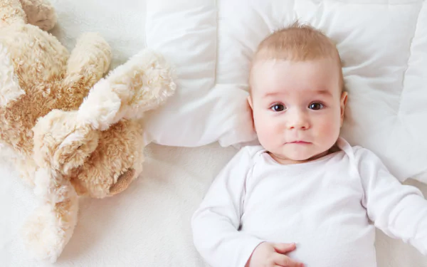 stuffed animal photography baby HD Desktop Wallpaper | Background Image