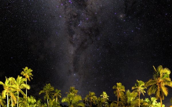 Earth Night Sky Starry Sky Palm Tree Stars Milky Way HD Wallpaper | Background Image