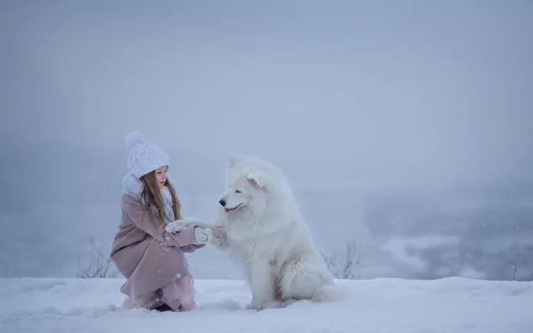 A little girl in a hat kneels in the snow, reaching out to a fluffy Samoyed dog amid a soft winter landscape with gentle depth of field.