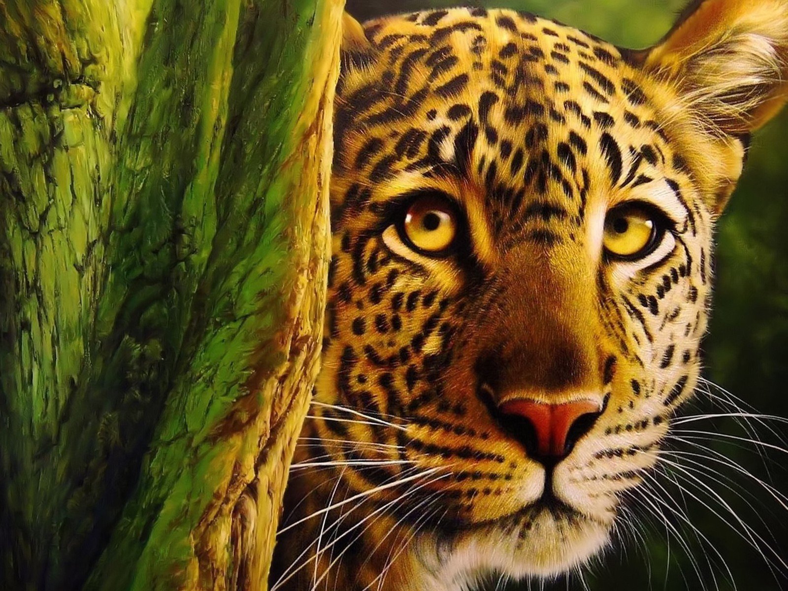 Animal Leopard Wallpaper