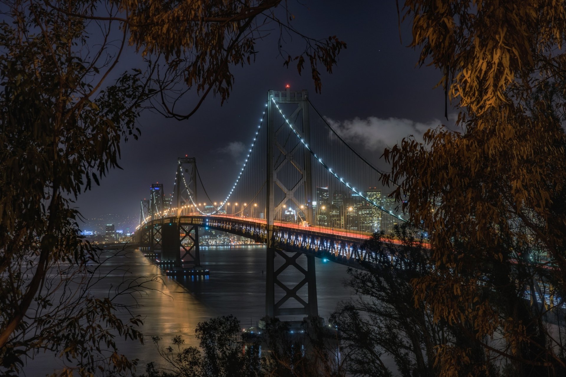 HD night view of San Francisco’s illuminated Bay Bridge framed by trees, showcasing the city lights and man-made structure over the water.