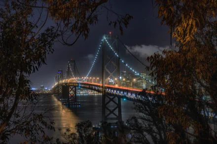 HD night view of San Francisco’s illuminated Bay Bridge framed by trees, showcasing the city lights and man-made structure over the water.