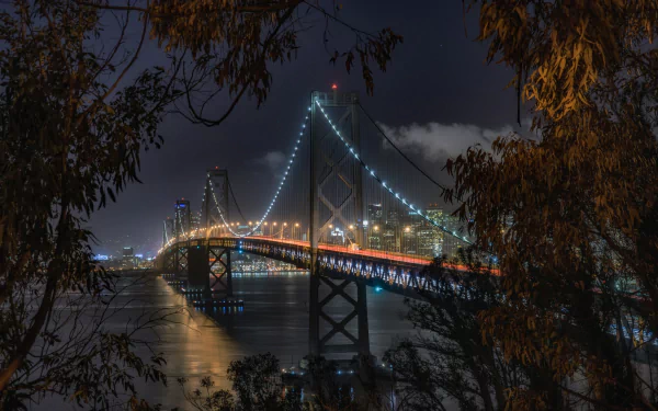 San Francisco light night bridge man made Bay Bridge HD Desktop Wallpaper | Background Image