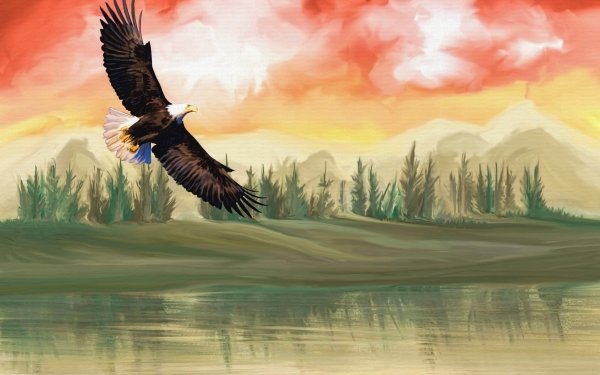 Animal Bald Eagle Birds Eagles Bird Painting Landscape HD Wallpaper | Background Image