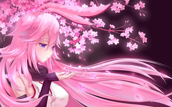 HD desktop wallpaper of Yae Sakura from Benghuai Xueyuan, featuring a pink-haired anime character under cherry blossoms with petals drifting in the wind. The background fades into a dark hue.