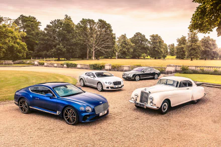 Four luxury Bentley cars, including white and silver models, are parked on a gravel driveway surrounded by green trees, captured in a high-definition desktop wallpaper.