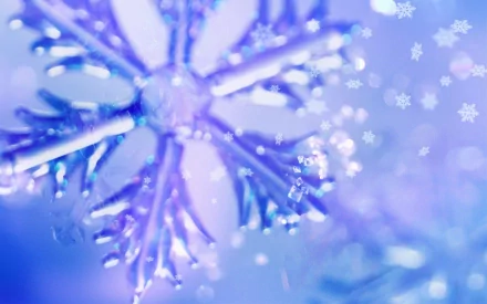 nature snowflake HD Desktop Wallpaper | Background Image