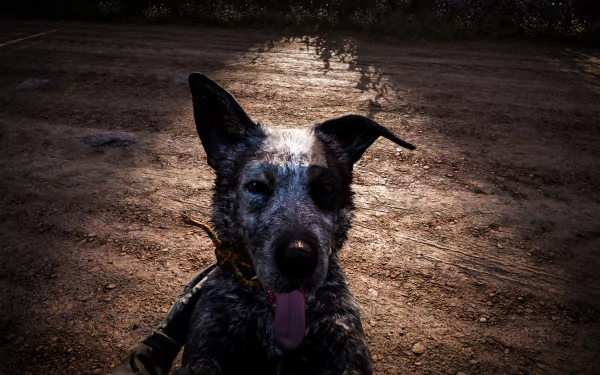 Close-up of Boomer the dog from Far Cry 5, captured in 4K Ultra HD with detailed lighting on a dusty ground background in this video game desktop wallpaper.