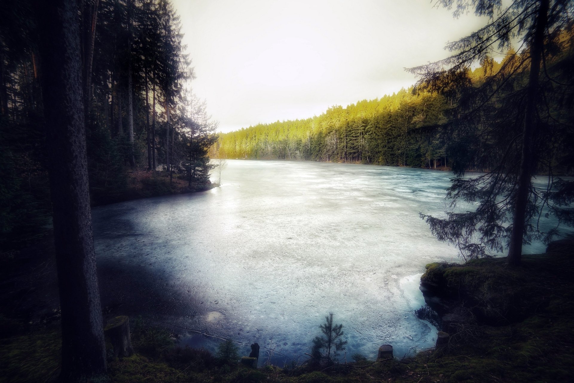 2K Quad HD PC desktop wallpaper: serene frozen lake in a nature scene, surrounded by dense forest at dawn, misty sky and icy shoreline.