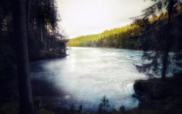 forest frozen nature lake HD Desktop Wallpaper | Background Image