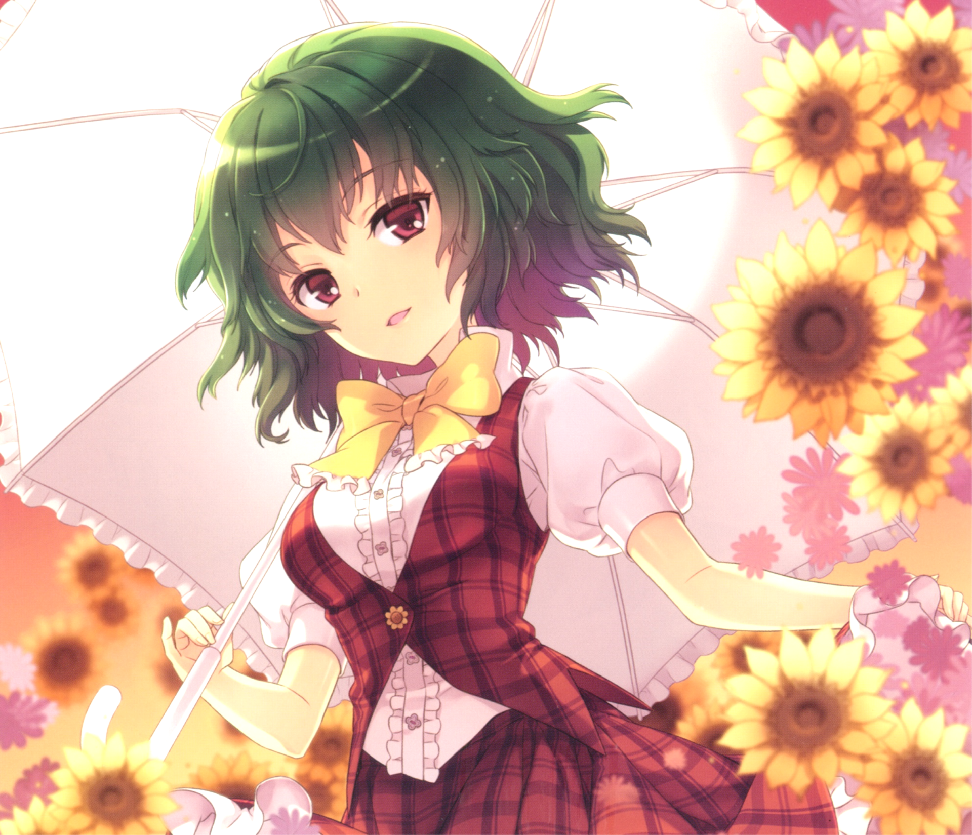 Download Yuuka Kazami Anime Touhou HD Wallpaper by An2A