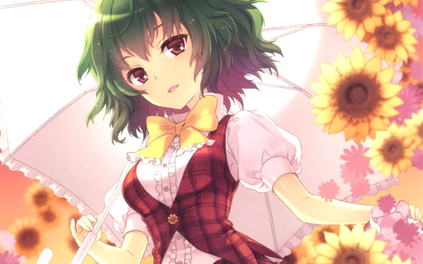 Yuuka Kazami Anime Touhou HD Desktop Wallpaper | Background Image