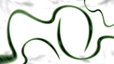 HD PC desktop wallpaper featuring abstract green ribbon-like swirls over a soft white background.