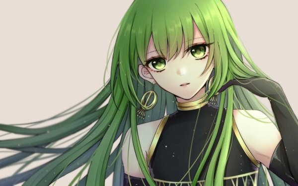 Anime Fate/Grand Order Fate Series Enkidu Fate Green Hair Close-Up HD Wallpaper | Background Image
