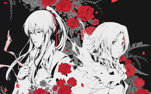 Yu Kanda Allen Walker Anime D.Gray-man HD Desktop Wallpaper | Background Image