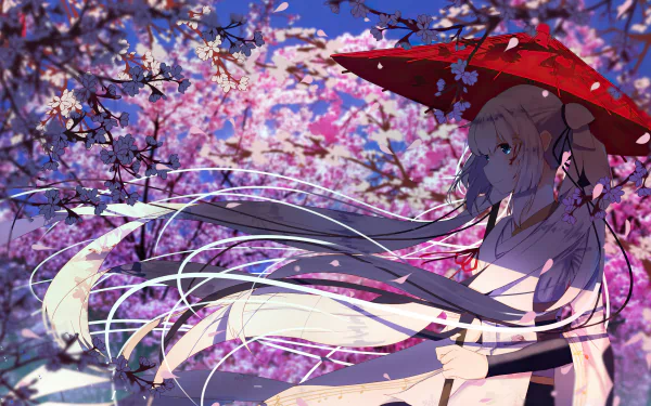 Yuki Miku anime Vocaloid 2K Quad HD PC desktop wallpaper: snow-themed Miku with long flowing white hair and red umbrella beneath pink cherry blossoms.