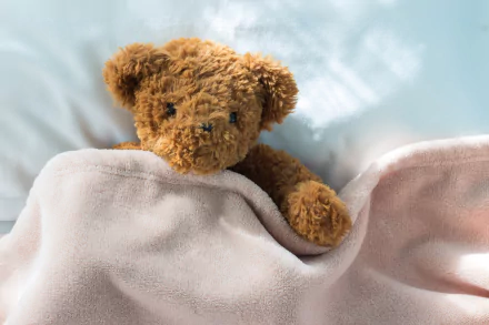 teddy bear man made stuffed animal HD Desktop Wallpaper | Background Image