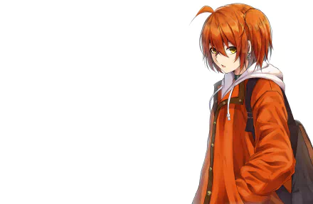 Ritsuka Fujimaru Anime Fate/Grand Order HD Desktop Wallpaper | Background Image