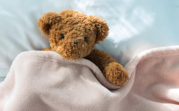 teddy bear man made stuffed animal HD Desktop Wallpaper | Background Image
