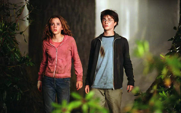 Harry Potter Hermione Granger movie Harry Potter and the Prisoner of Azkaban HD Desktop Wallpaper | Background Image