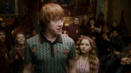 Ron Weasley movie Harry Potter and the Half-Blood Prince HD Desktop Wallpaper | Background Image