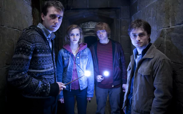 Hermione Granger Ron Weasley Harry Potter Neville Longbottom movie Harry Potter and the Deathly Hallows: Part 2 HD Desktop Wallpaper | Background Image