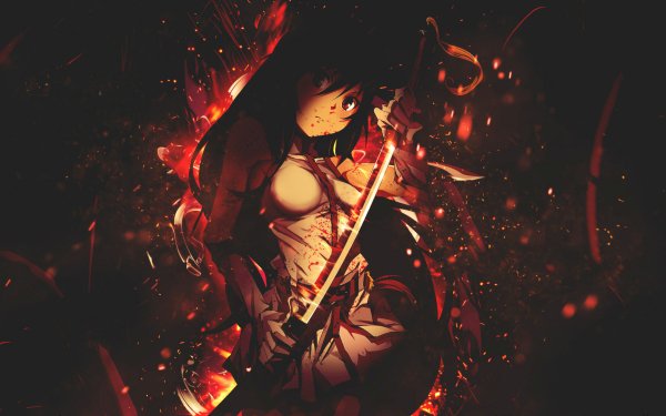 Anime Akame ga Kill! Blade HD Wallpaper | Background Image