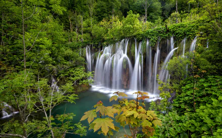 plitvice lake forest green nature waterfall HD Desktop Wallpaper | Background Image
