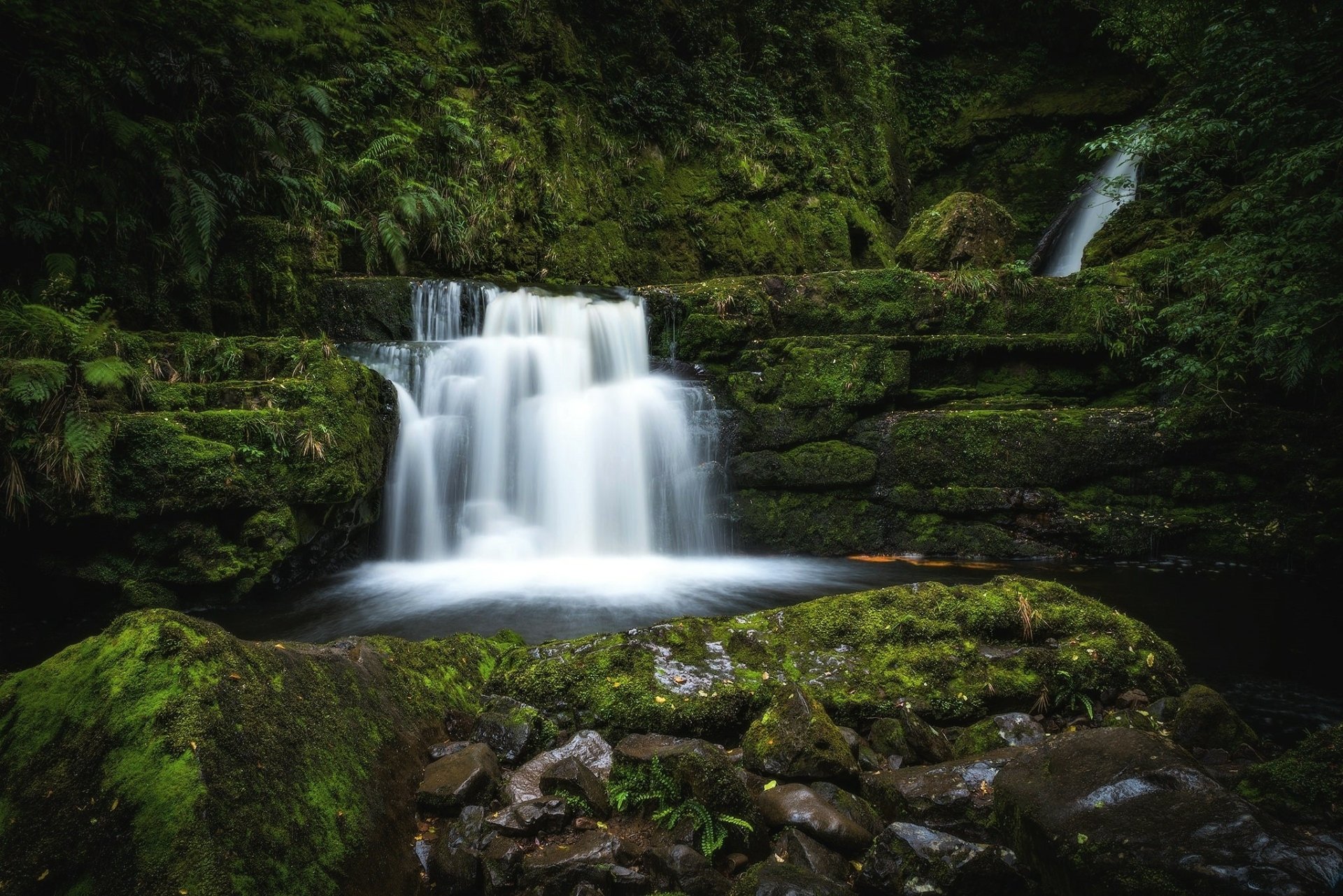 Download Moss Forest Nature Waterfall HD Wallpaper