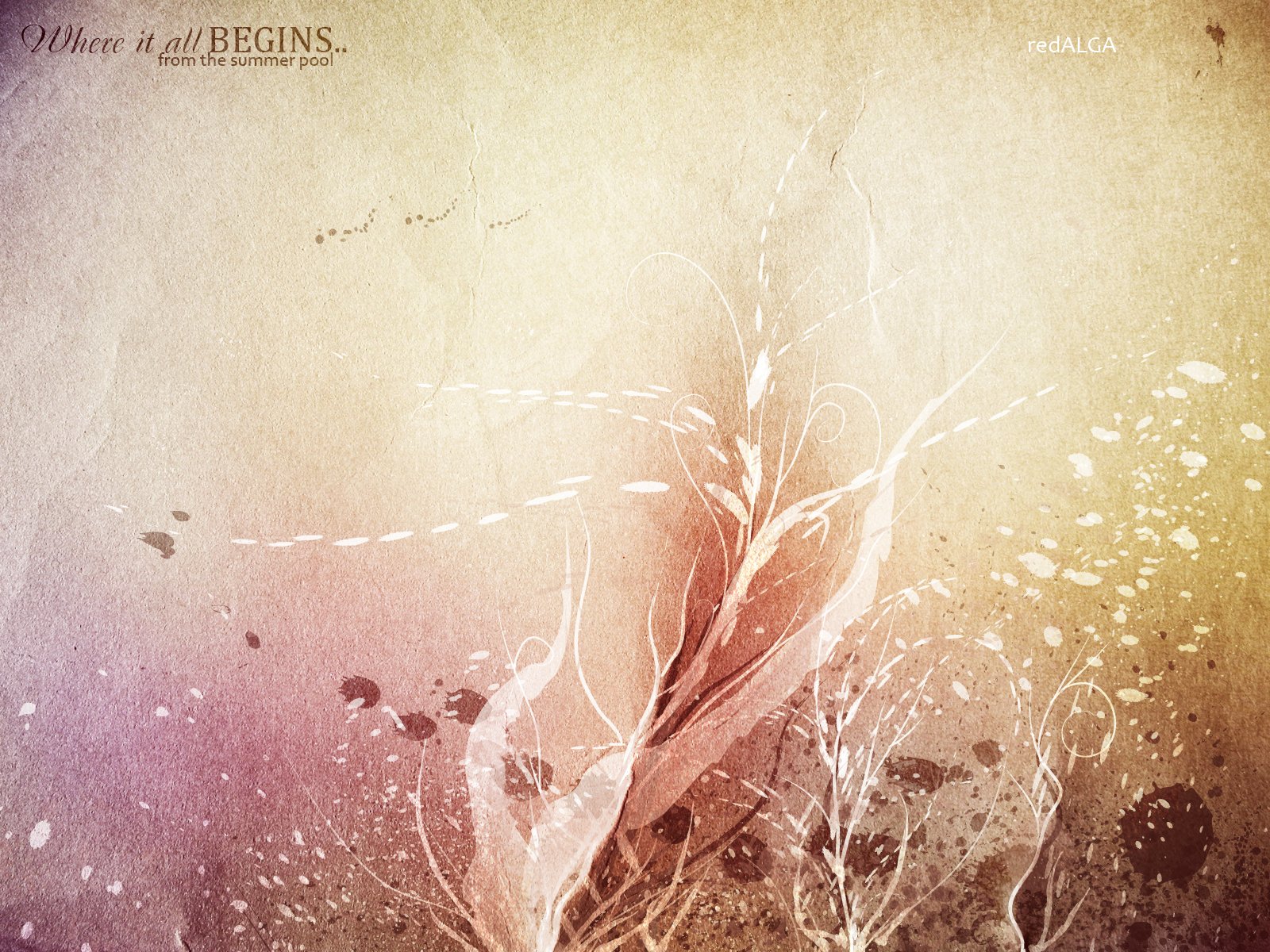 Where it all begins by red alga