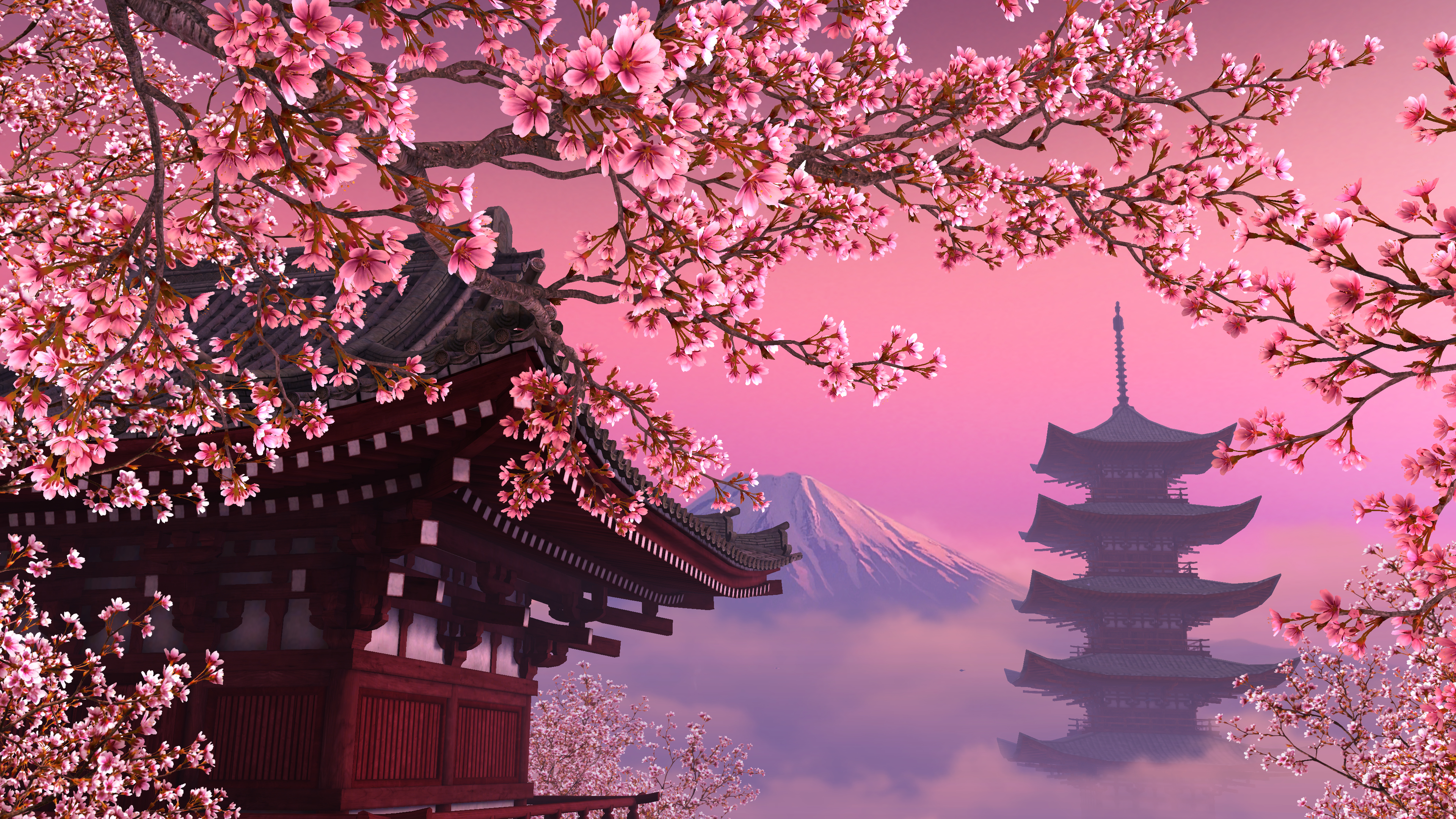  Sakura  4k Ultra HD Wallpaper  Background Image 