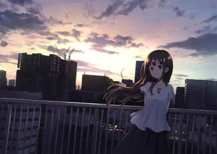 Anime-style original HD desktop wallpaper featuring a girl with flowing hair standing on a rooftop railing against a dramatic sunset cityscape background.