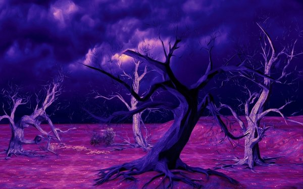 Artistic Tree Night Painting Sky Nature HD Wallpaper | Background Image