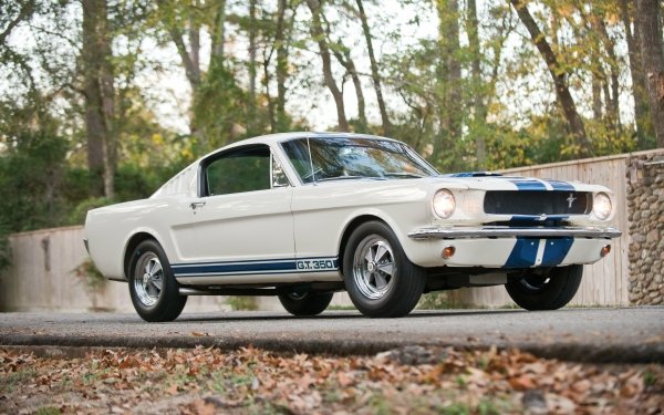 Vehicles Shelby Mustang GT 350 Ford Shelby Mustang GT350 Fastback Muscle Car White Car Car HD Wallpaper | Background Image