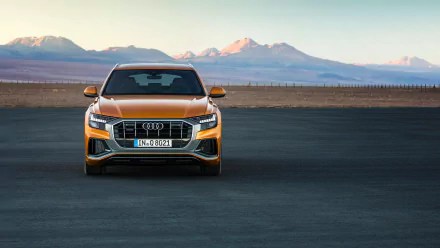 orange car SUV car Audi vehicle Audi Q8 HD Desktop Wallpaper | Background Image