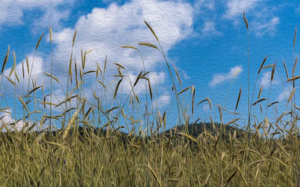  Wheat - Oil on Canvas