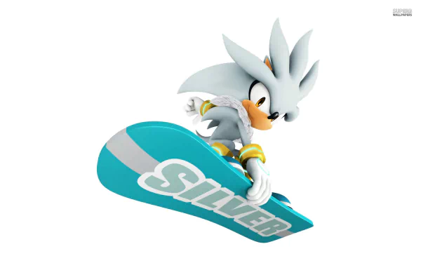  Silver: Mario and Sonic at the Olympic Winter Games (Sochi, 2014)