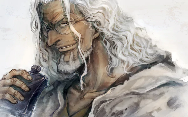 HD wallpaper of Silvers Rayleigh from the anime One Piece, featuring the character with white hair and glasses, holding an alcohol bottle against a light background.