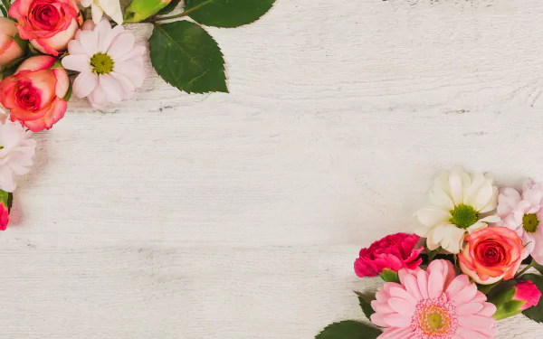  Pink and White Flowers