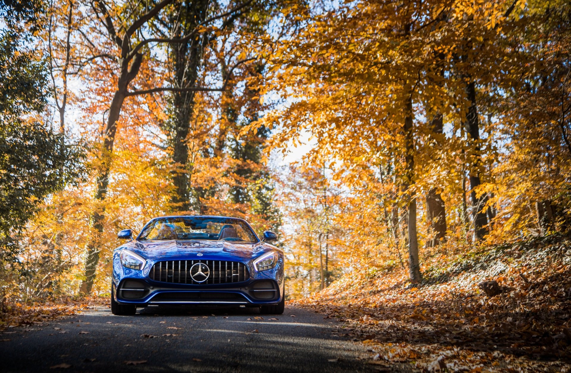 A Mercedes-AMG GT C car in a forest setting with autumn foliage, presented as a 4K Ultra HD desktop wallpaper featuring the sleek Mercedes-Benz vehicle.