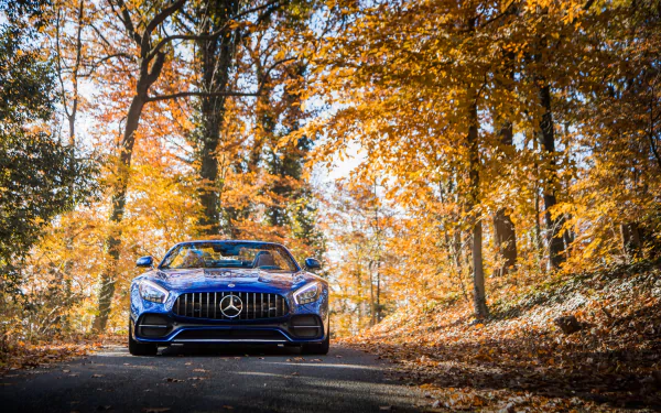 A Mercedes-AMG GT C car in a forest setting with autumn foliage, presented as a 4K Ultra HD desktop wallpaper featuring the sleek Mercedes-Benz vehicle.