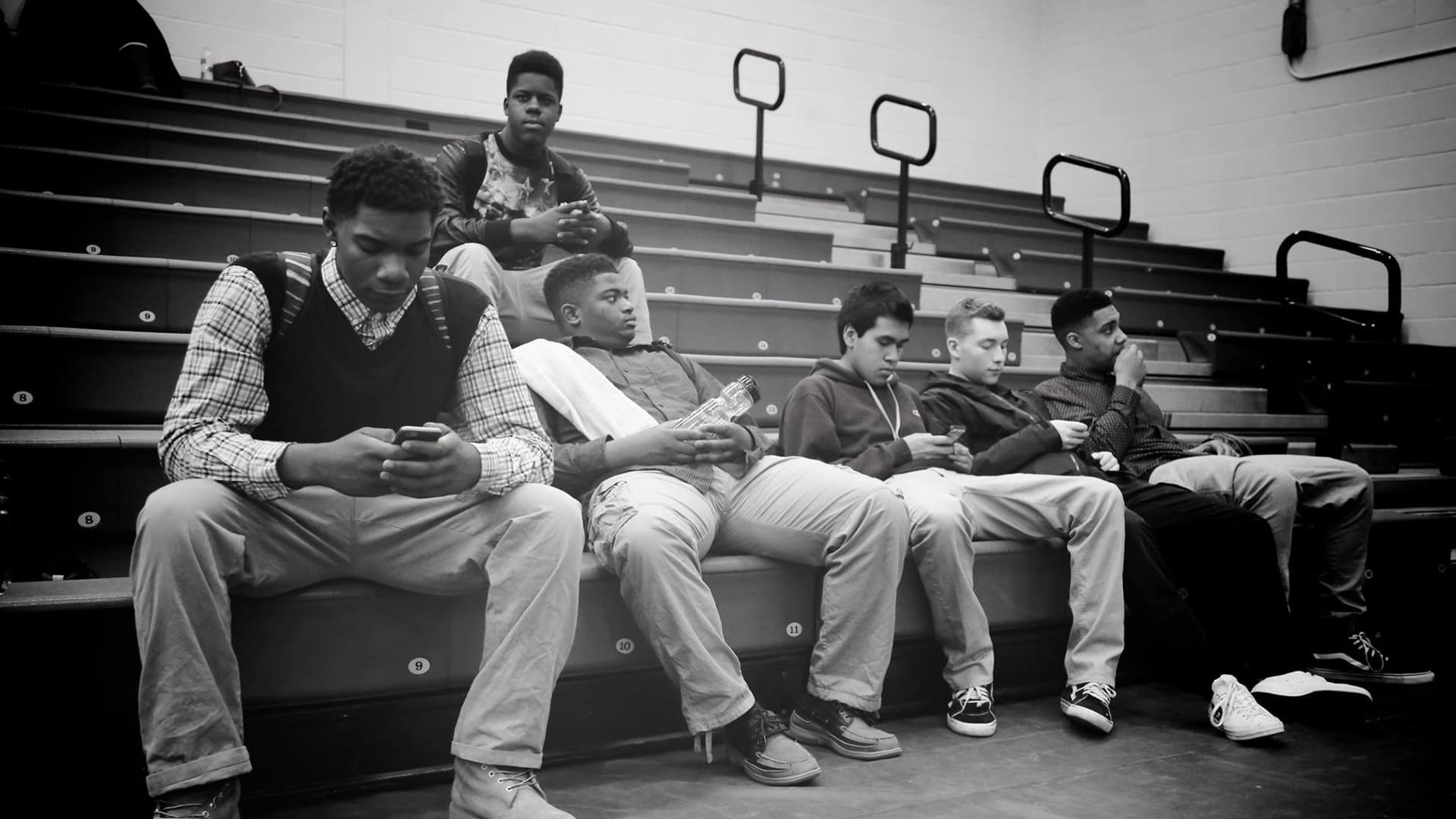 Download Movie Killer Bees HD Wallpaper