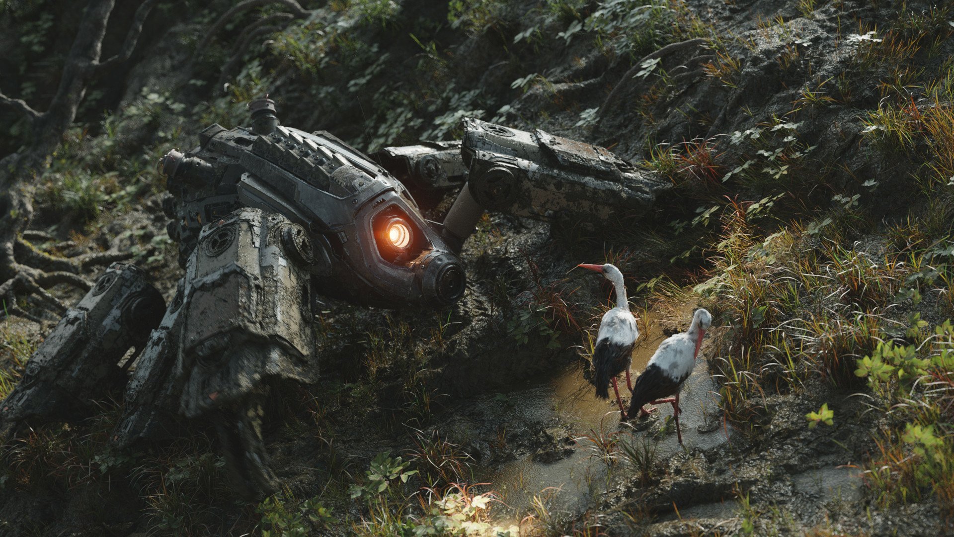 A futuristic robot with a glowing orange eye interacts with two storks in a lush, overgrown environment, creating an intriguing sci-fi scene for a high-definition desktop wallpaper.