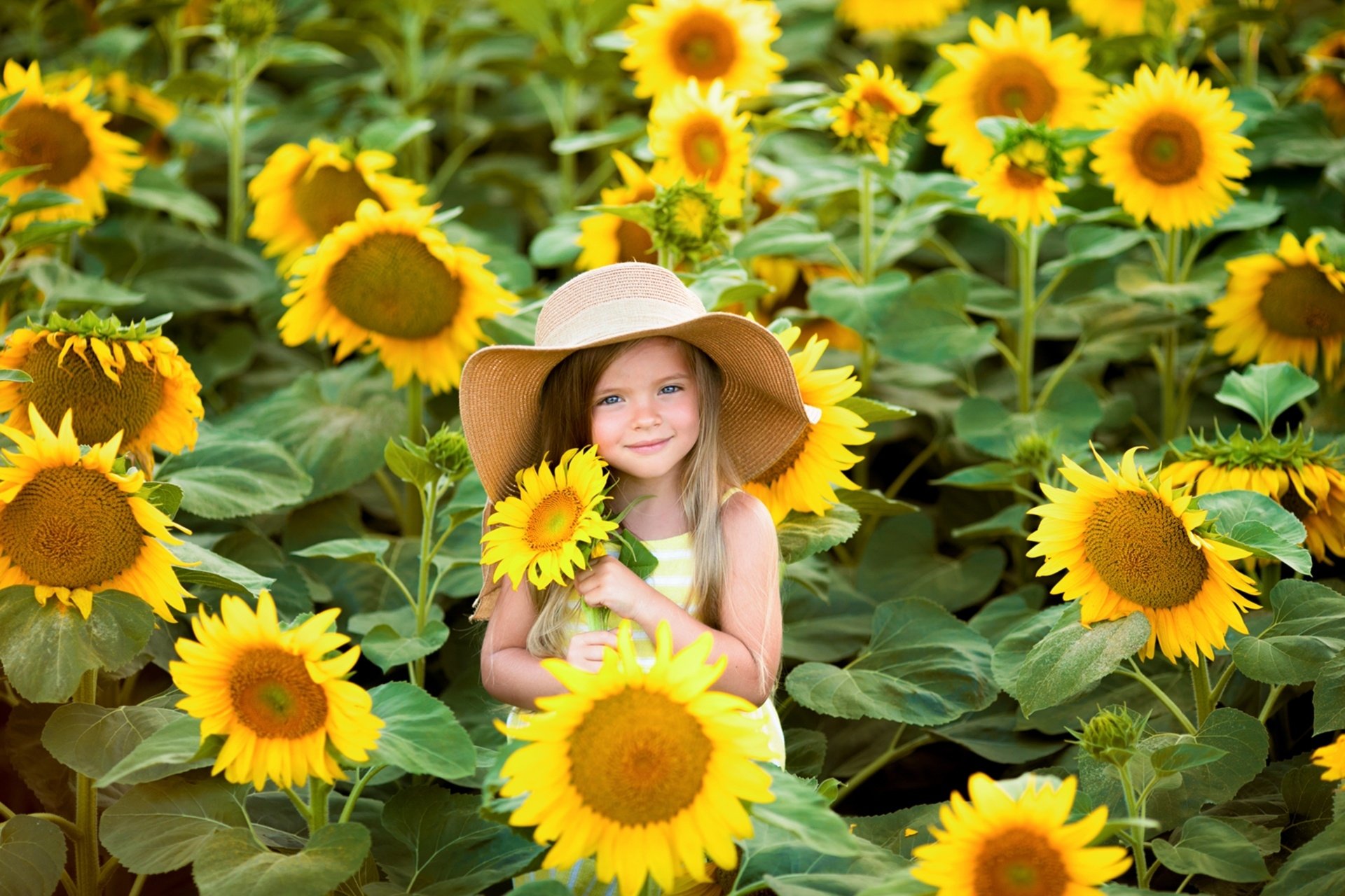 Wallpapers ID:938873