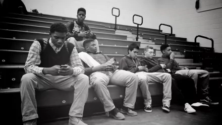 movie Killer Bees HD Desktop Wallpaper | Background Image