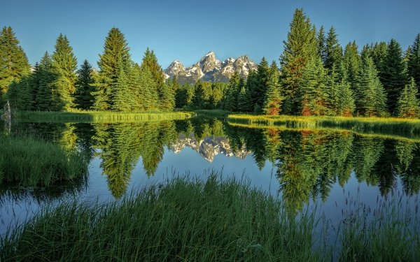 Earth Reflection Nature Lake Greenery HD Wallpaper | Background Image
